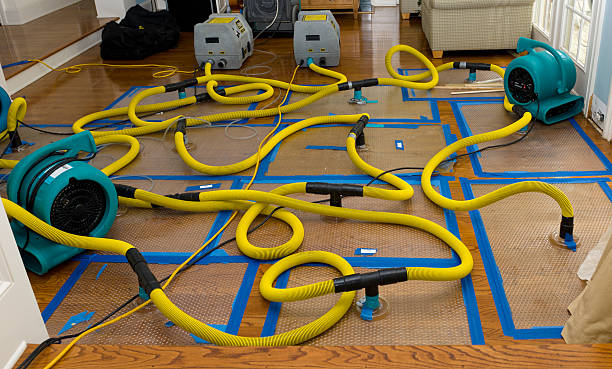 Professional Storm Water Damage Restoration technician working in South Point, OH